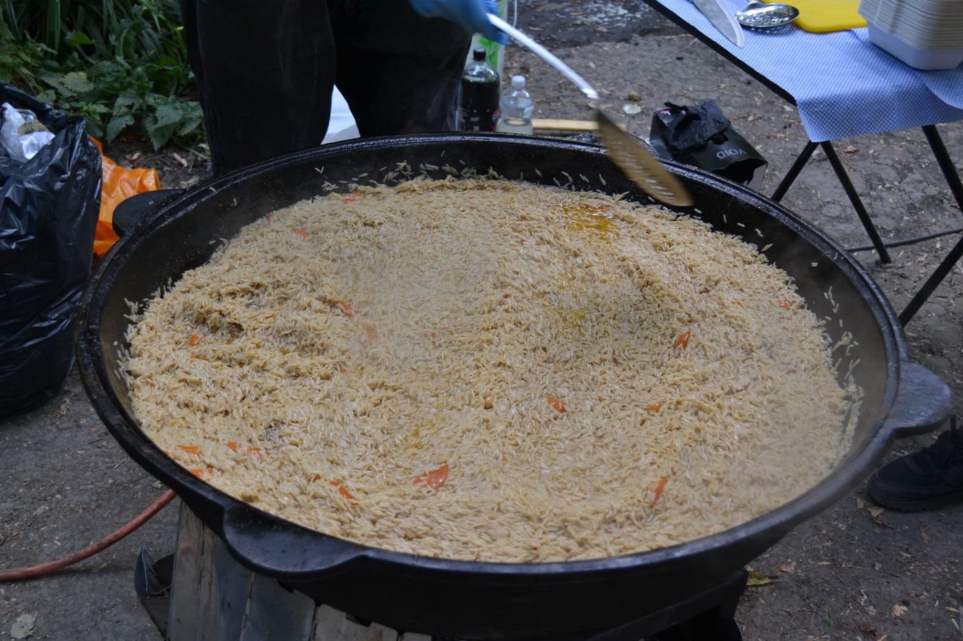RAÏ Forest Festival, 1 August 2026